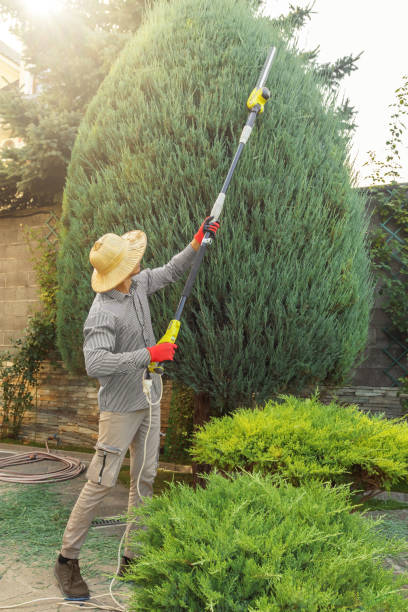 Best Fruit Tree Pruning  in Fort Plain, NY