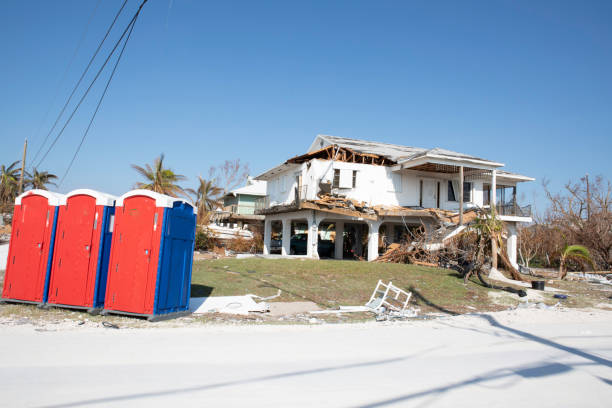 Best Tree Removal  in Fort Plain, NY